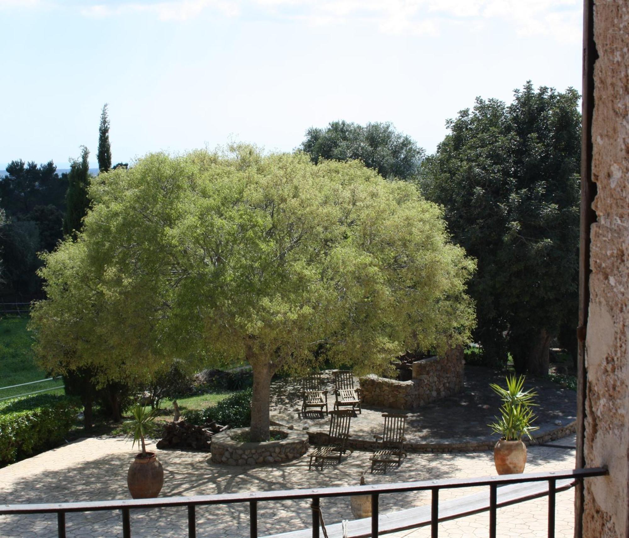 Agroturisme Son Sama Llucmajor  Room photo